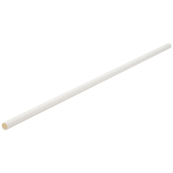 Paper Bottle White Straw 10.5" (26cm) - BESPOKE77