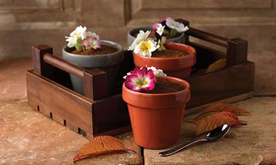 Churchill Super Vitrified Bit on the Side Tableware