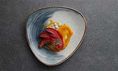 Churchill Super Vitrified Stonecast Accents