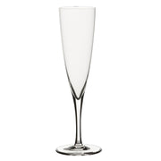 Utopia | Glassware (Crystal) | Minners Champagne Flute 21.59cm H 17.75cl | Bespoke77