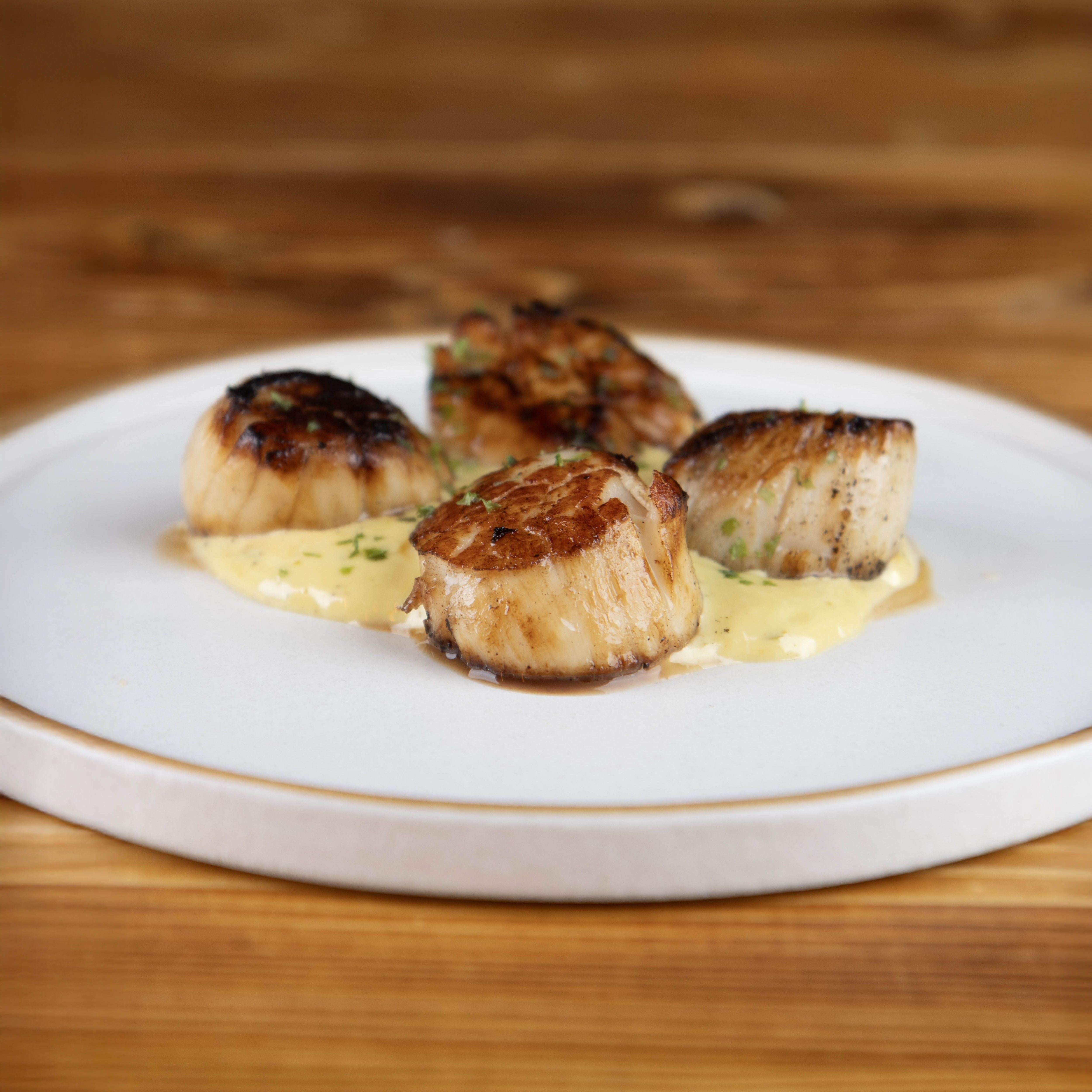 Matte White With Rye Edge 20cm Flat Plate