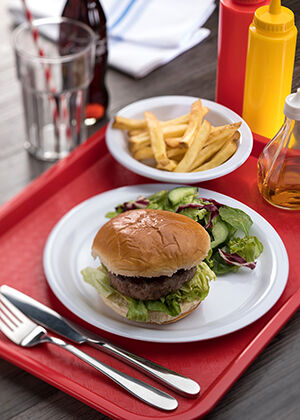 Polar Plate 9" (23cm)