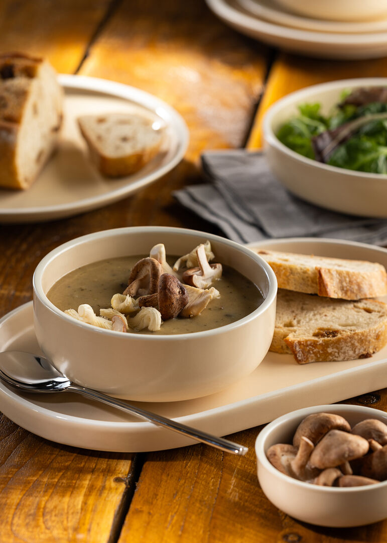 Forma Vanilla Plate 10.5" (26.5cm)