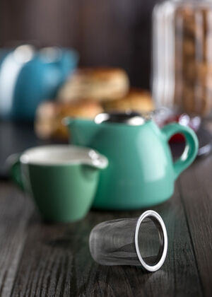 Barista Teapot - Spare Strainers