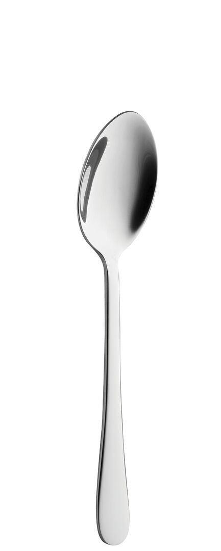 Gourmet Dessert Spoon