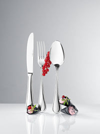 Anser Tea Spoon
