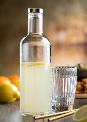 Vision Bottle 35oz (1L)