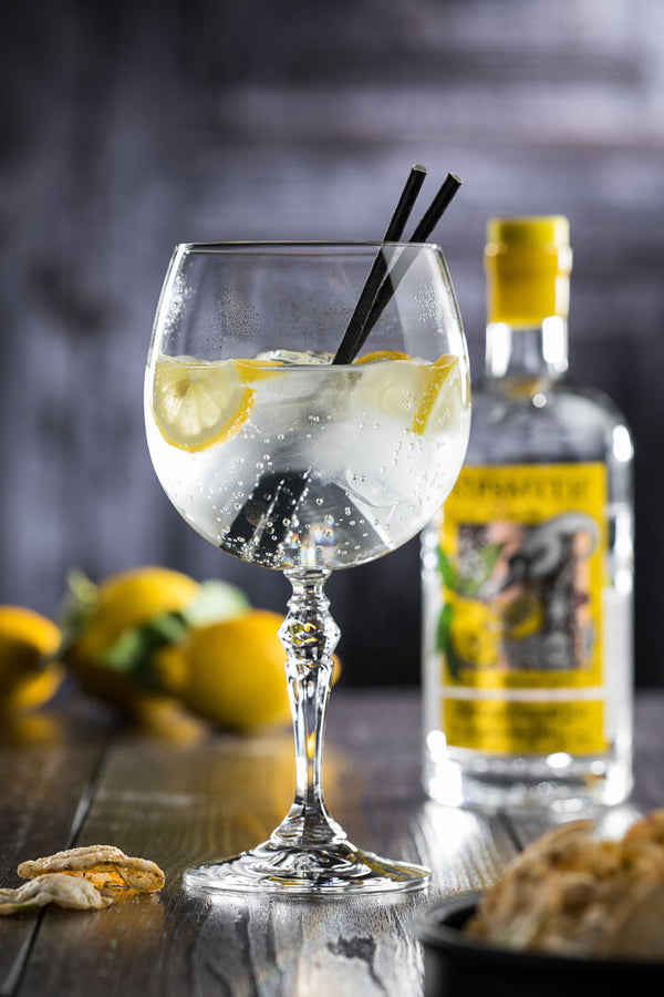 Bar Gin & Tonic 22oz (63cl)