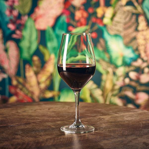FT Ribier Wine Glass 45cl/15.8oz