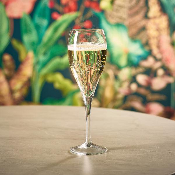 Palladium Champagne Flute 17cl/6oz