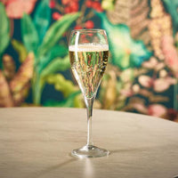 Palladium Champagne Flute 17cl/6oz
