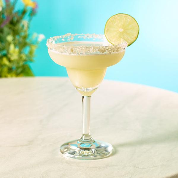Harmony Polycarbonate Margarita Glass 31.5cl/11.1oz