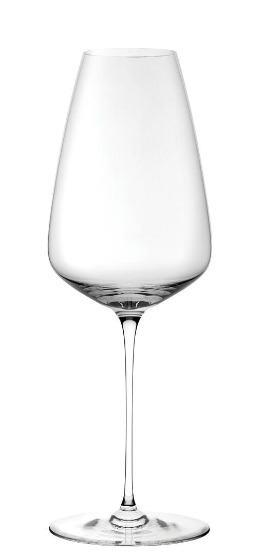 Stem Zero ION Shield Champagne 15.75oz (45cl)
