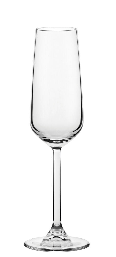 Allegra Champagne Flute 6.75oz (20cl)