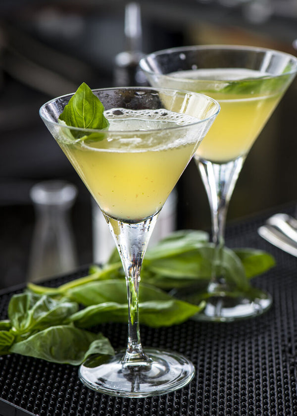 V Line Martini 8.75oz (25cl)