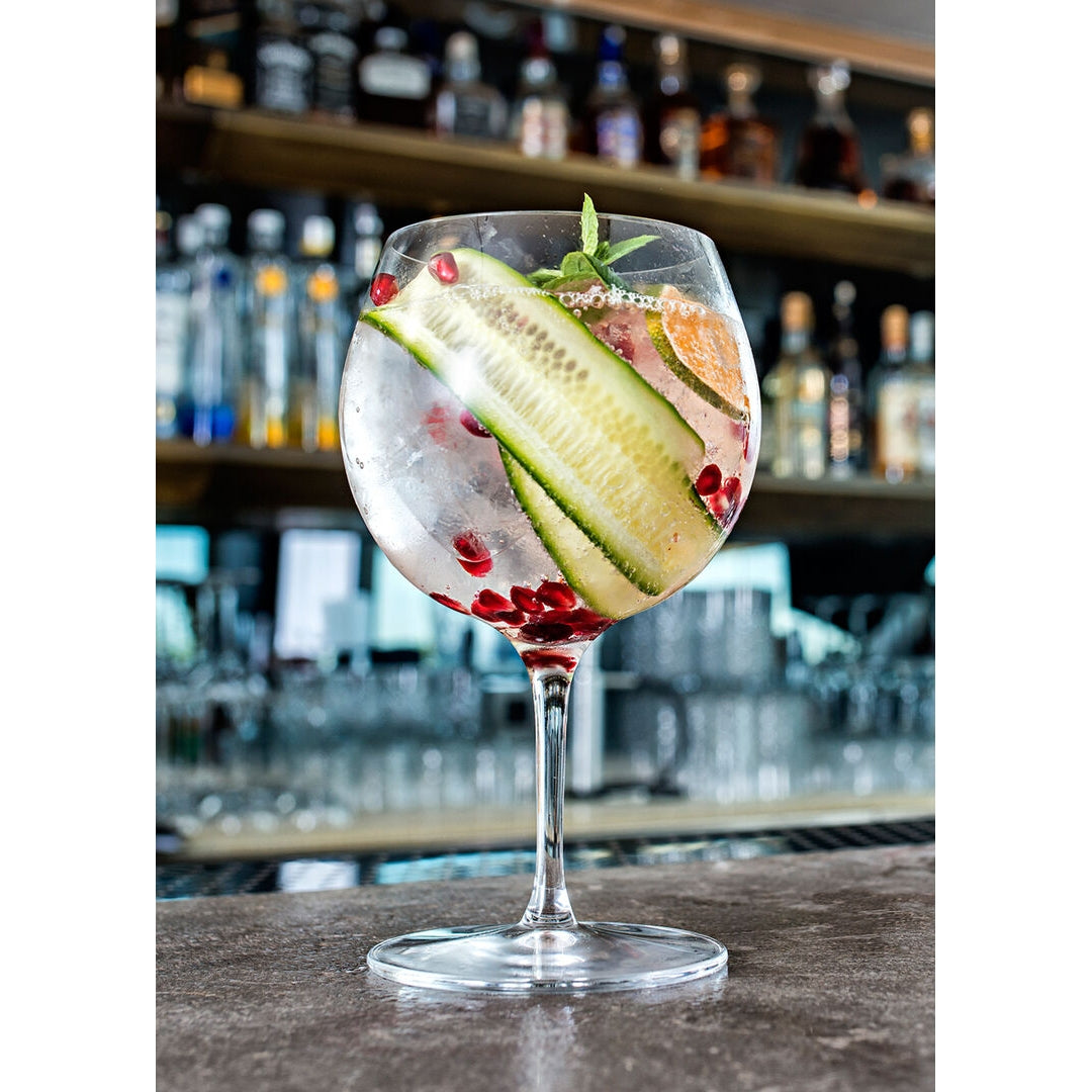 Vintage Gin & Tonic 20.5oz (58.5cl)