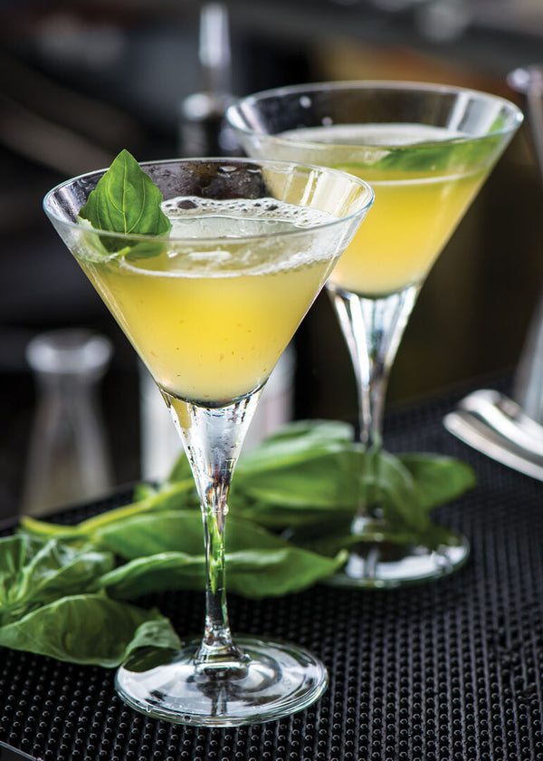 Primeur Martini 8.5oz (24cl)