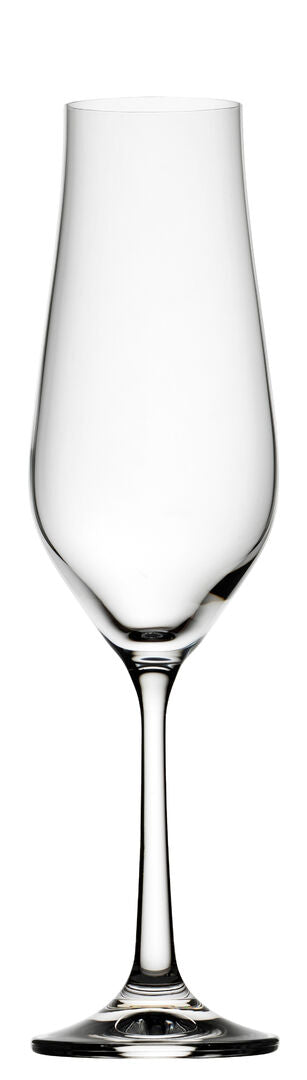 Tulipa Flute 7.75oz (22cl)