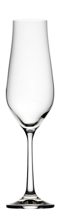 Tulipa Flute 7.75oz (22cl)