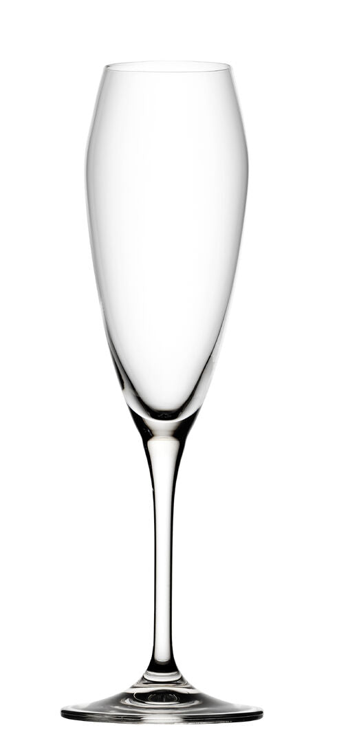 Bravissimo Flute 8.5oz (24cl)