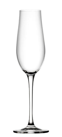 Tigris Flute 8.25oz (23.5cl)