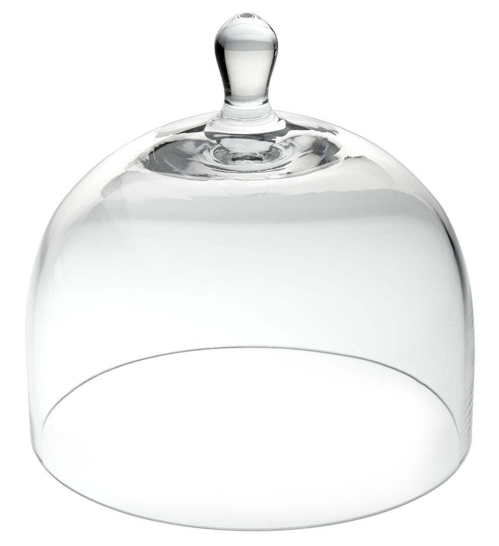 Glass cloche 6" (15cm)