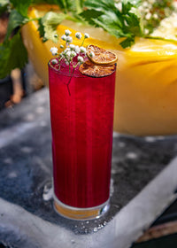 FT Merlot Hiball 10oz(28cl)