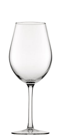 FT Degustacion Goblet 10.75oz(31cl)