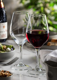 FT Ribier Goblet 21oz(60cl) Fine Rim