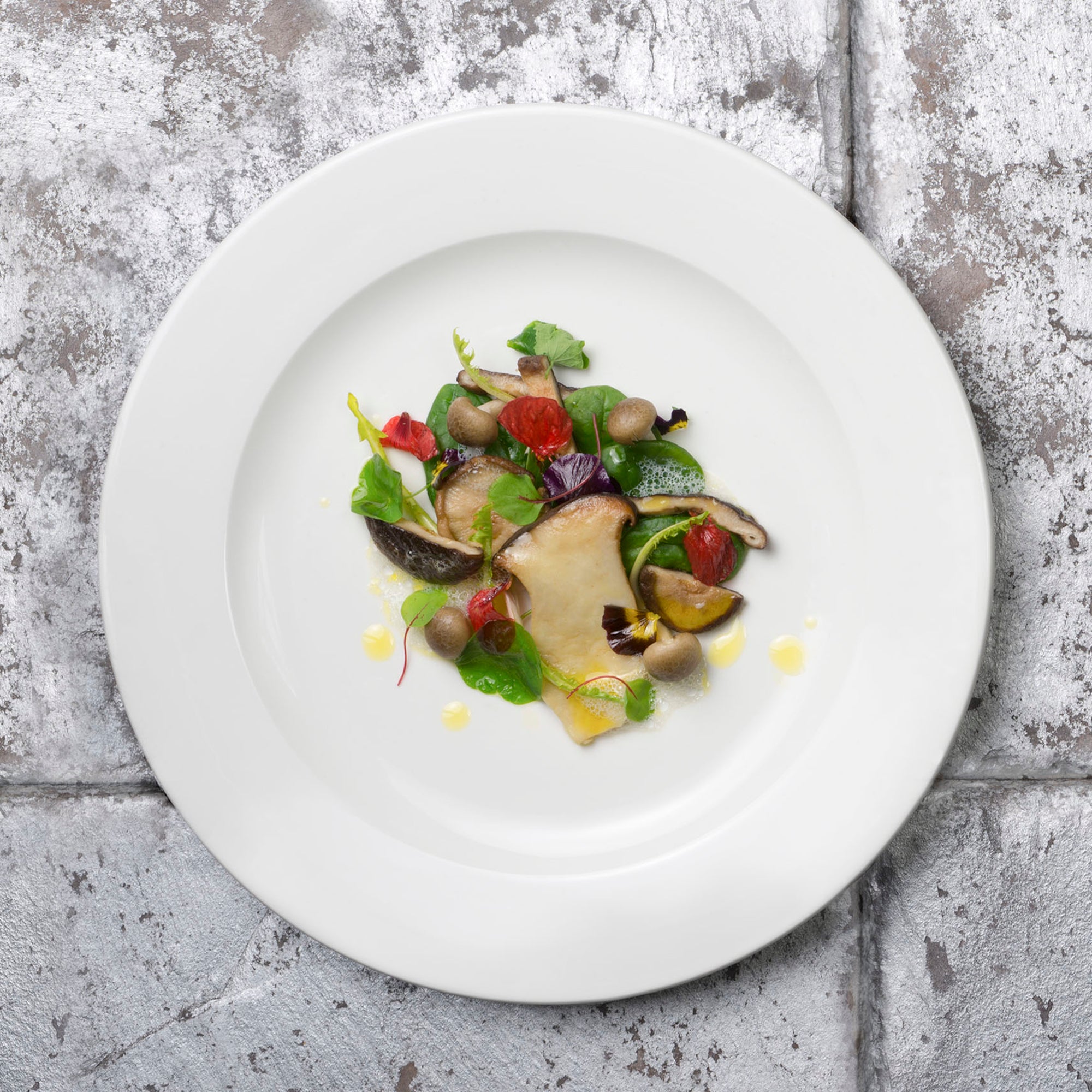 Churchill Alchemy White Plate 13"