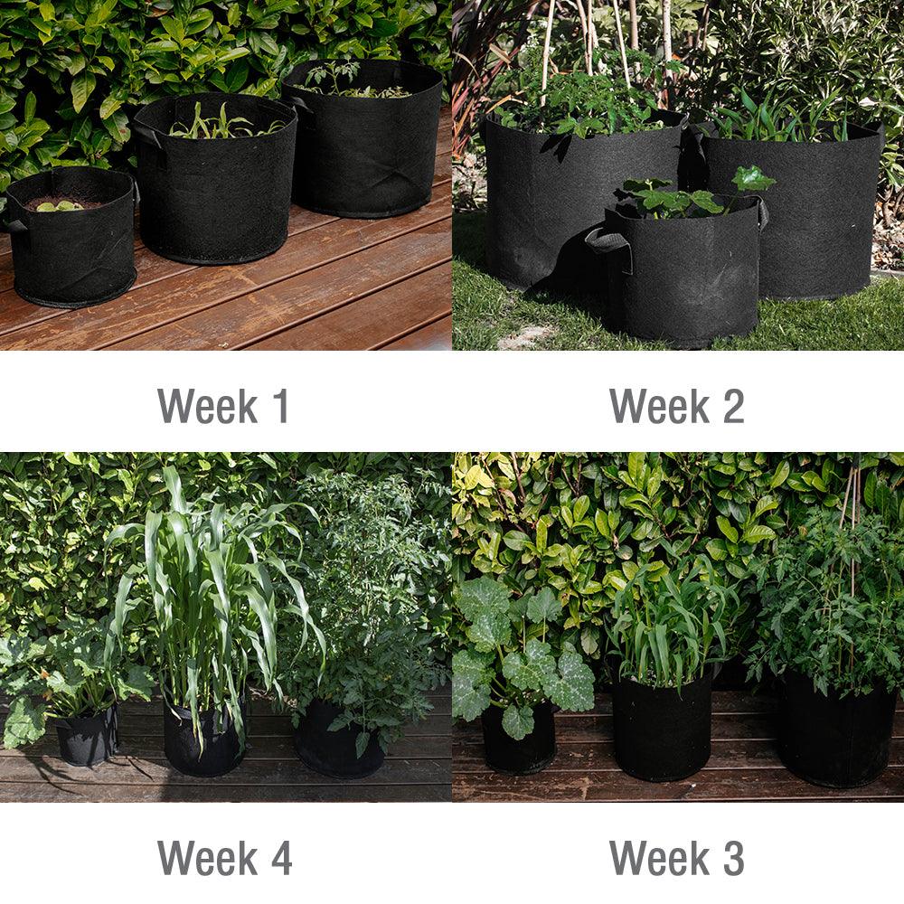 Spear and Jackson - 11 Litre Grow Bag - 4 week fast growing