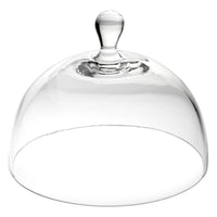 Glass cloche - BESPOKE77