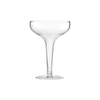 Antoinette Hollow Coupe Glass 8.5oz (24cl) - BESPOKE77